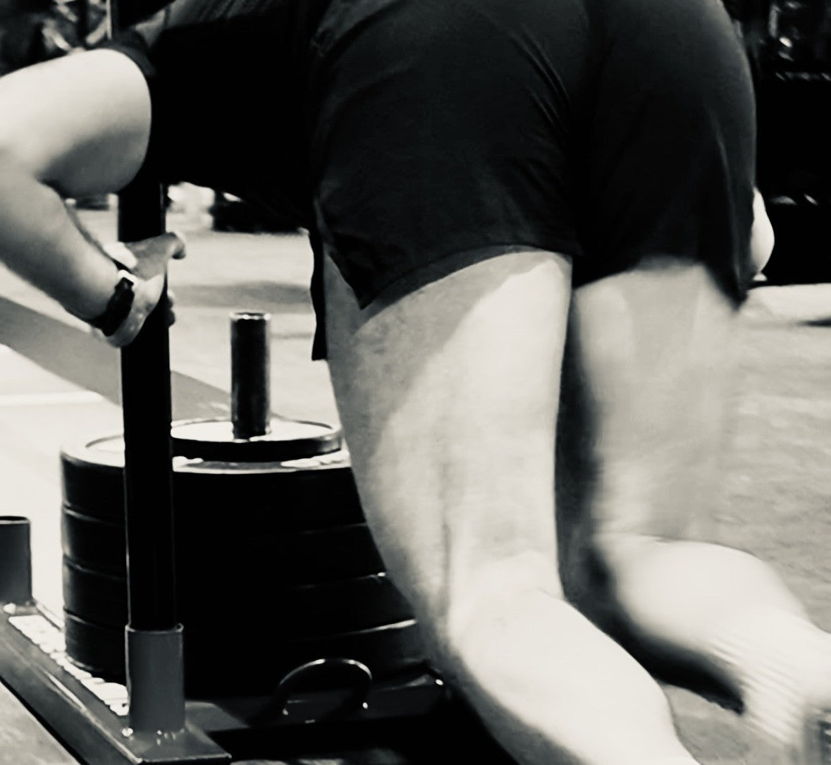 The HG Free 6 Week Hybrid Program